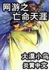 网游之亡命天涯