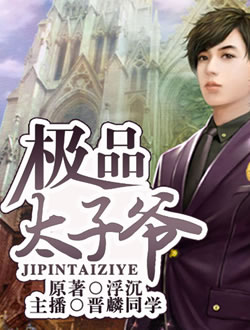 极品太子爷