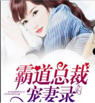 霸道总裁宠妻录