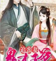 鬼才王爷追蛮妻