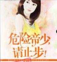 危险帝少,请止步!