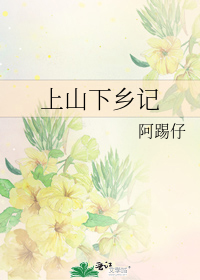 上山下乡记